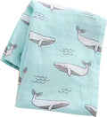 Kassy Pop 100% Bamboo Cotton Baby Swaddle Wrap Cum Receiving Blanket, 125x100 cm - Whale Print