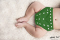 Kassy Pop 3 in 1 Reusable Cloth Diaper for with 3-Layer Microfiber Insert, (0-36 Months) - Green