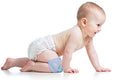 Kassy Pop Baby Cotton Crawling Anti-Slip Knee Pads - Blue