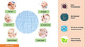 Kassy Pop Muslin Baby Face Towel, Square Wipes, 10x10-inches, 0-18 Months (Blue) - Pack of 5
