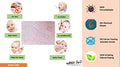 Kassy Pop Muslin Baby Face Towel, Square Wipes, 10x10-inches, 0-18 Months (Textured) - Pack of 5