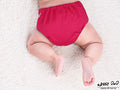 Kassy Pop 3 in 1 Reusable Cloth Diaper for with 3-Layer Microfiber Insert, (0-36 Months) - Dark Pink