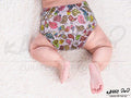 Kassy Pop 3 in 1 Reusable Cloth Diaper for with 3-Layer Microfiber Insert, (0-36 Months) - Bird Print