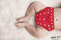 Kassy Pop 3 in 1 Reusable Cloth Diaper for with 3-Layer Microfiber Insert, (0-36 Months) - Red