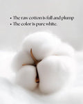 Kassy Pop 100% Bamboo Cotton Baby Swaddle Wrap Cum Receiving Blanket, 110x110 cm - Bunny Print