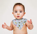 KASSY POP Baby Absorbing Bandana Drool Bibs (Adjustable Size), 1pc - Bird Print
