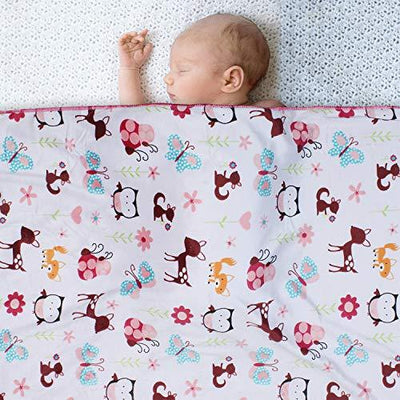 Kassy Pop Plush Super Soft Organic Microfiber Fleece Baby Blankets for Infants & Toddlers, Unisex, 30 x 40 Inches, Warm for Use in Winters, Air Conditioned Rooms, 0-2 Years