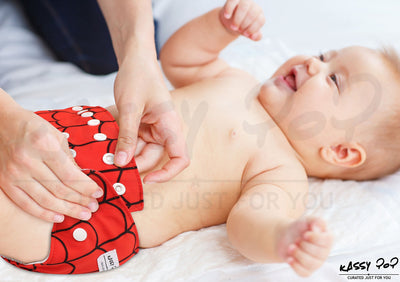 Kassy Pop 3 in 1 Reusable Cloth Diaper for with 3-Layer Microfiber Insert, (0-36 Months) - Spider Web